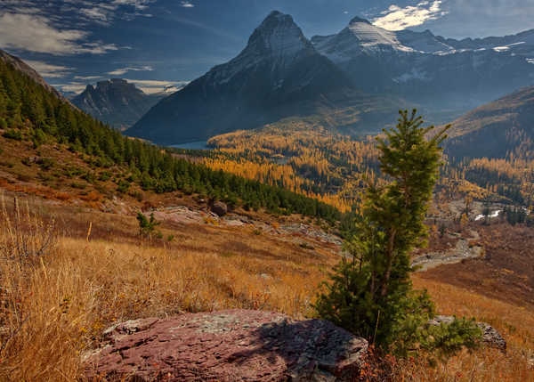 poster gunung USA Autumn Parks Mountains Scenery Forests Glacier 1Z