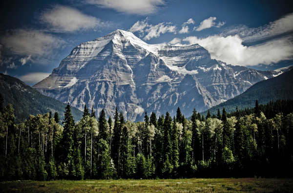 poster gunung Cliff Forest Mountain Nature Tree Mountains Mountain APC 001