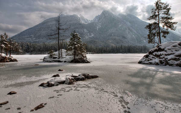 Poster Pemandangan Gunung Mountain Snow Tree Earth Winter APC