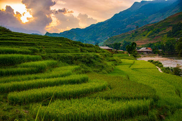 poster pegunungan Vietnam Mountains Fields Sapa Clouds 1Z