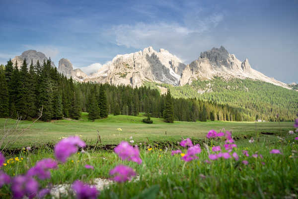 poster gunung Italy Mountains Grasslands Scenery Dolomites Alps 1Z