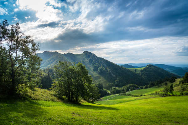 poster pemandangan alam gunung Switzerland Mountains Grasslands Clouds Trees 1Z