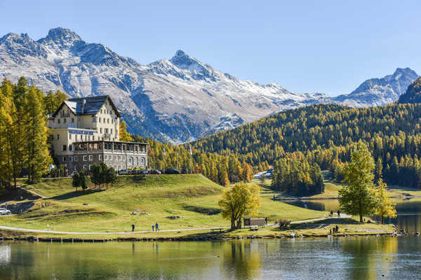 Poster Pemandangan Gunung Switzerland Mountains Forests Houses Coast Alps 1Z