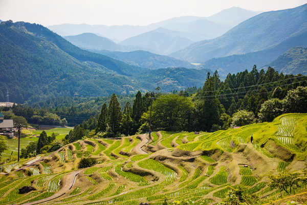 poster gunung Japan Mountains Forests Fields Kiwa Kumano Mie 1Z