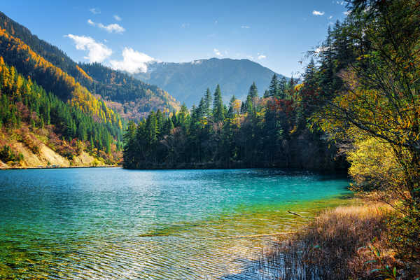 poster pemandangan alam gunung Jiuzhaigou park China Parks Lake Mountains Forests 1Z