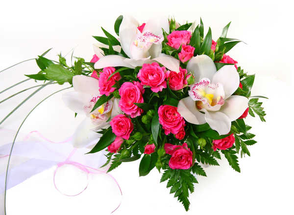Gambar Poster Anggrek Bouquets Roses Orchid White background WPS 001