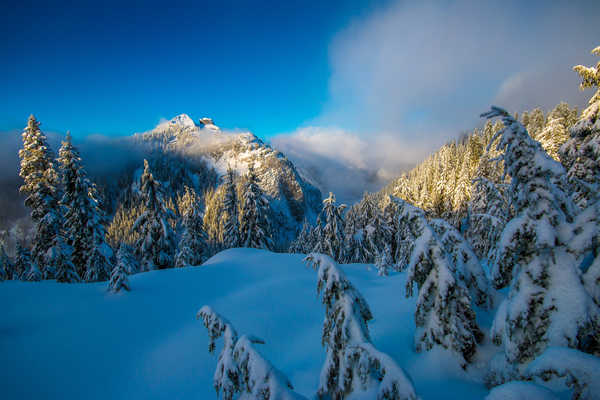 Poster Pemandangan Gunung winter mountains forest canada hd WPS