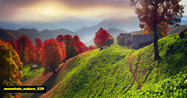 poster gunung mountain 239