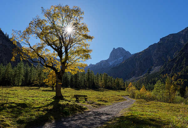 poster gunung Mountains Austria Tyrol Karwendel Trees Trail Alps 1Z