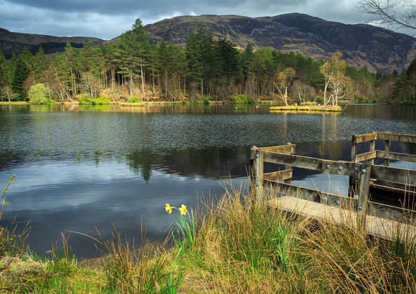 poster pegunungan Scotland Mountains Rivers Glencoe Lochan Grass 1Z