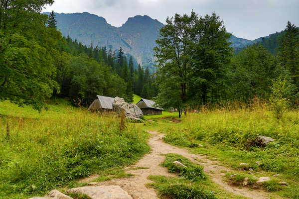 poster gunung Poland Mountains Forests 1Z