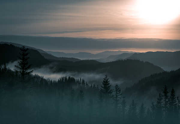 poster pemandangan alam gunung mountains norway fog forest 4k WPS