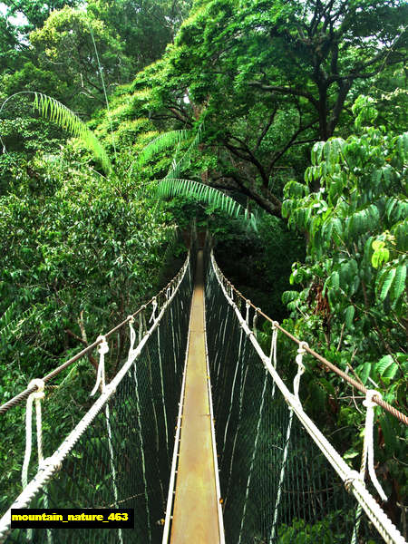 Poster Pemandangan Gunung mountain 463