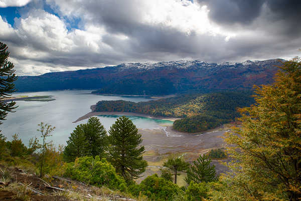 Poster Pemandangan Gunung Chile Lake Mountains Forests Coast Spruce 1Z