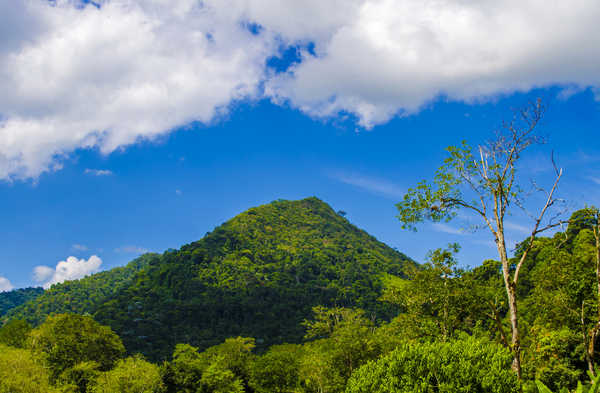 Poster Pemandangan Gunung Brazil Mountains Forests 1Z