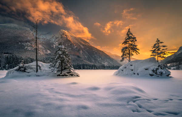 poster pemandangan alam gunung Germany Mountain Snow Sunset Tree Winter Earth Winter1 APC