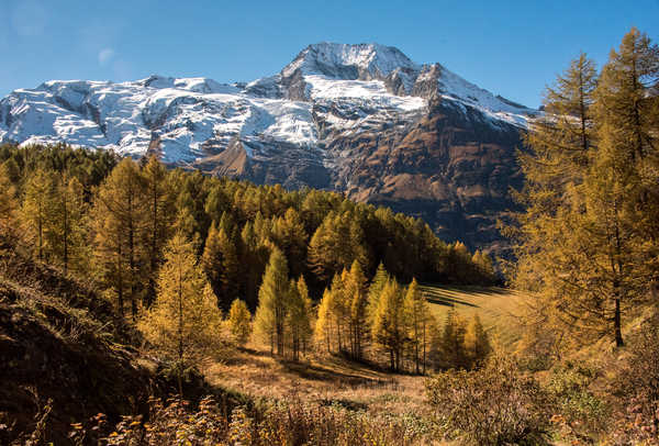 poster gunung France Mountains Autumn Le Monal Snow Trees 1Z