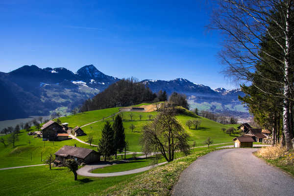 Poster Pemandangan Gunung Switzerland Mountains Roads Grasslands Houses 1Z