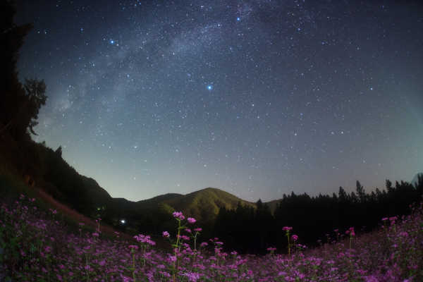 poster gunung Japan Sky Stars Mountains Grasslands Nagano Night 1Z