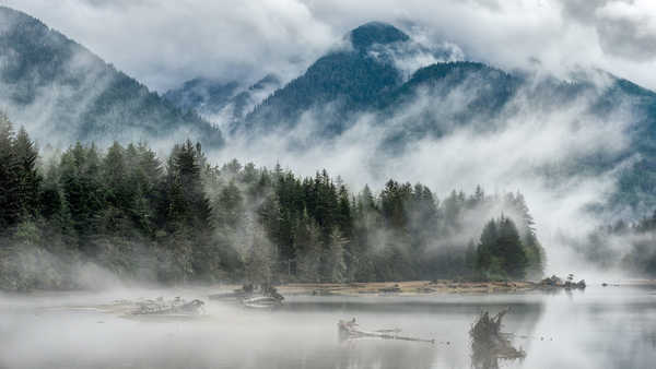 poster pemandangan alam gunung Fog Lake Landscape Mountain Tree Lakes Lake9 APC