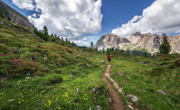 poster gunung Mountains Grass Trail Tourist Stroll 1Z