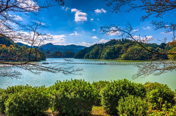 poster pegunungan Japan Lake Mountains Lake Shorenji Nabari Shrubs 1Z