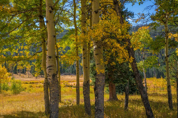 poster pegunungan USA Parks Autumn Rocky Mountain National Park 1Z 002