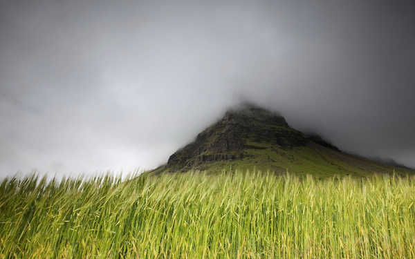 Poster Pemandangan Gunung Fog Grass Mountain Wheat Earth Landscape APC