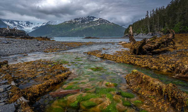 poster gunung USA Alaska Mountains Stones Rivers Forests 1Z