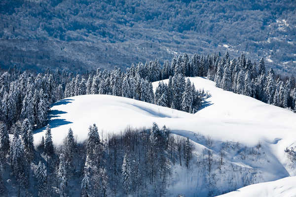 poster pemandangan alam gunung mountains frosted trees snow winter russia WPS