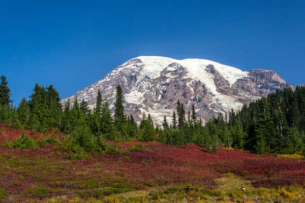 Poster Pemandangan Gunung USA Parks Mountains Forests Mount Rainier National 1Z 002