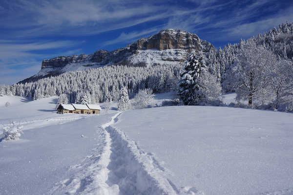 Poster Pemandangan Gunung Winter Houses Forests Mountains Scenery Snow Trail 1Z