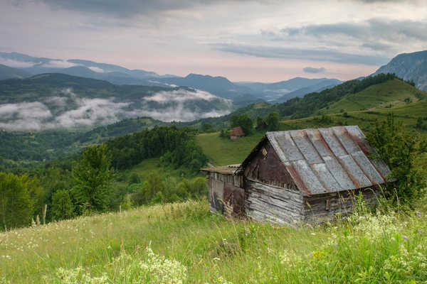 poster pemandangan alam gunung Romania Mountains Forests Sub Piatra Alba Grass 1Z