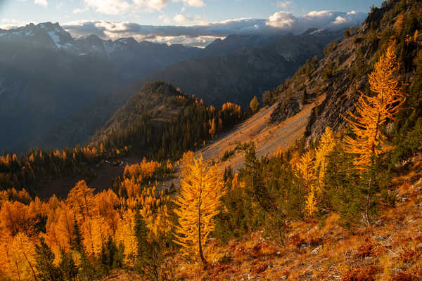 poster gunung USA Mountains Autumn Carne Mountain Trees 1Z