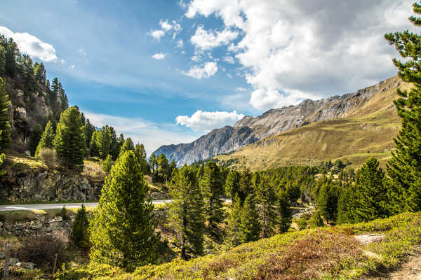 poster pegunungan Switzerland Mountains Sky Scenery Alps Spruce 1Z