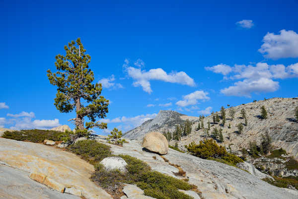 poster gunung Parks USA Mountains 1Z