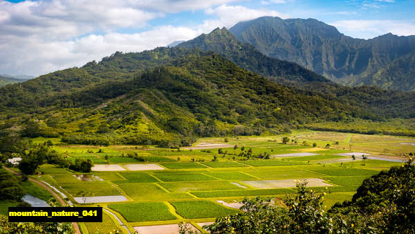 poster pemandangan alam gunung mountain 041