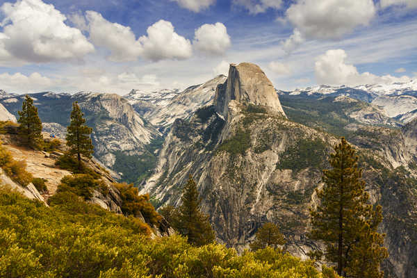 poster pemandangan alam gunung USA Parks Mountains Yosemite Spruce 1Z