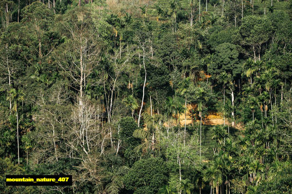 poster gunung mountain 407