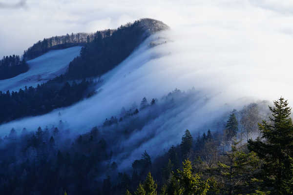 Poster Pemandangan Gunung Forests Mountains Switzerland Belchenflue Fog 1Z