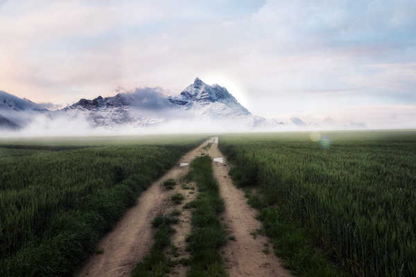 poster gunung Field Fog Landscape Mountain Nature Path Earth Path APC