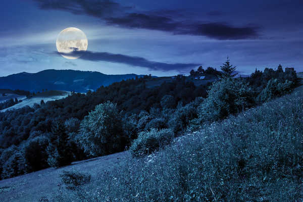 poster gunung Sky Mountains Forests Night Moon Grass 1Z