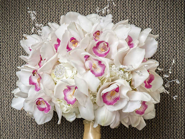 Gambar Poster Bunga Anggrek Bouquets Orchid White WPS