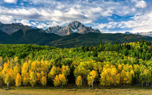 poster pemandangan alam gunung Earth Fall Foliage Mountain Tree Earth Forest APC