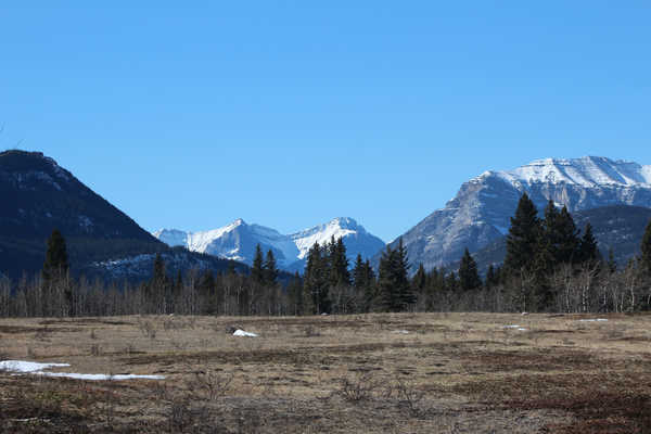 poster pegunungan Mountains Canada Scenery 1Z