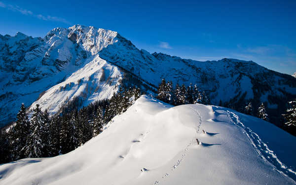 Poster Pemandangan Gunung Blue Forest Mountain Sky Snow Winter Mountains Mountain APC