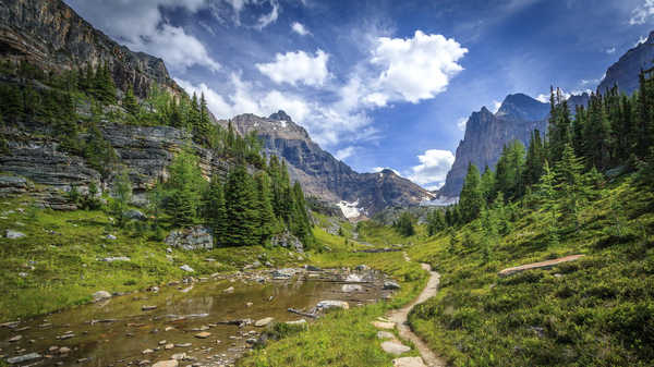 Poster Pemandangan Gunung Mountain Nature Path Earth Path APC