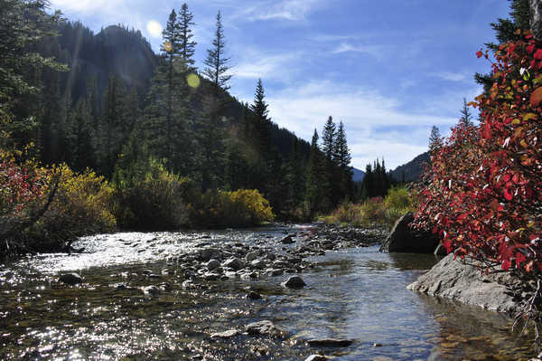 poster pemandangan alam gunung USA Rivers Autumn Forests Mountains Stones Parks 1Z