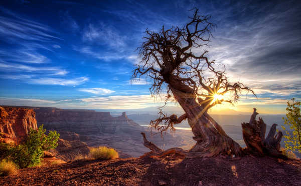 poster pemandangan alam gunung Colors Mountain Sky Sun Sunset Tree Trees Tree APC