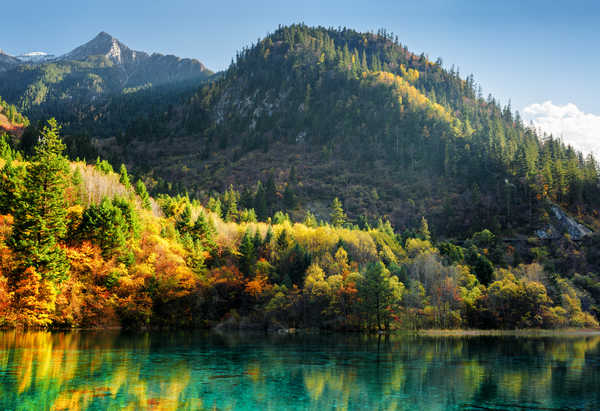 Poster Pemandangan Gunung Jiuzhaigou park China Parks Mountains Autumn Lake 1Z 001